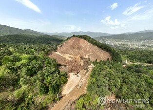 지리산 자락 소나무 1만그루 대규모 벌채