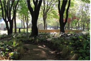 서울숲에 SM엔터 후원으로 정원 '광야숲' 조성