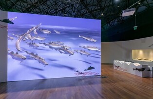 한국인의 밥상 지켜온 '주인공'…조기, 명태, 멸치를 만나다