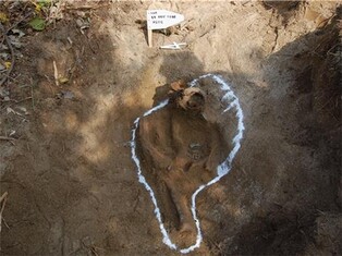 S. Korea identifies remains of another Korean War soldier