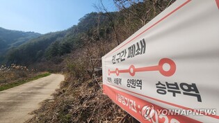 [길따라 멋따라] 정부는 국내관광 '총력'…지자체·코레일은 '길막'