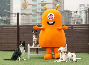 티몬, 17일까지 유기견 치료·돌봄 '소셜기부'