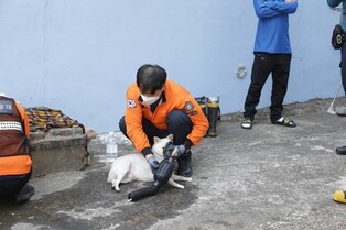 주인 없는 아파트서 불…반려동물 15마리 숨져(종합)