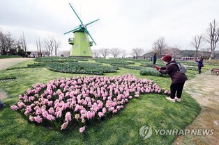 순천만정원박람회 '국가의 날' 세계 문화 체험 인기
