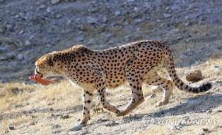 10대 자녀는 왜 위험한 행동을 할까…신간 '와일드후드'