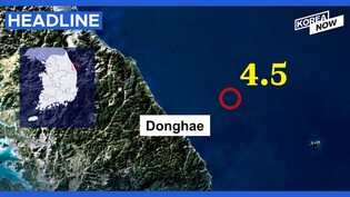 4.5 magnitude quake reported off the east coast