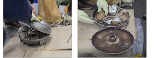 Customs agency seizes record amount of drugs through April