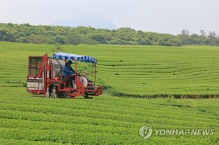 Farming households' average income down 3.4 pct in 2022: data