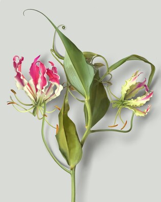 70대 서양화가가 아이패드로 그림 그린 이유는