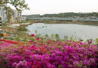 [시흥소식] 은계호수공원서 7월 말까지 매주 토요일 벼룩시장 운영
