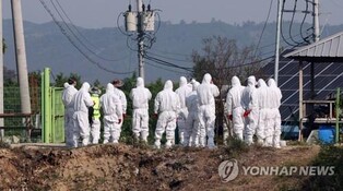 S. Korea reports additional foot-and-mouth disease case, total at 11