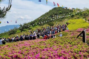 쉬엄쉬엄 올라가니 분홍세상…김해 신어산 철쭉제