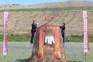 제주 들불축제 때 못 태운 소원지 5만장 새별오름서 태워