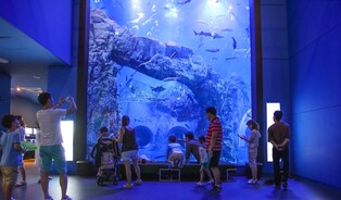 단양다누리아쿠아리움, 개관 11주년 맞아 기념 이벤트