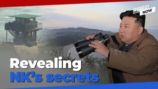 Are more North Korean elites escaping to South Korea – and revealing their secrets?