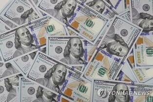 Foreign currency deposits down for 4th month in April on imports payment