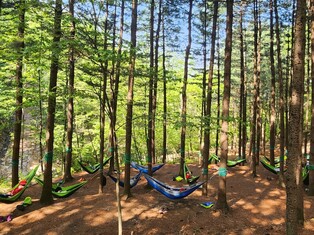 산림치유원에서 반려동물 잃은 슬픔 치유하세요