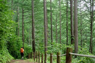 [굽이굽이 별천지] ⑤ 길은 새로운 길을 낳는다…세대를 잇는 '운탄고도'
