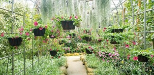 "완도수목원서 다양한 아열대식물 관람하세요"