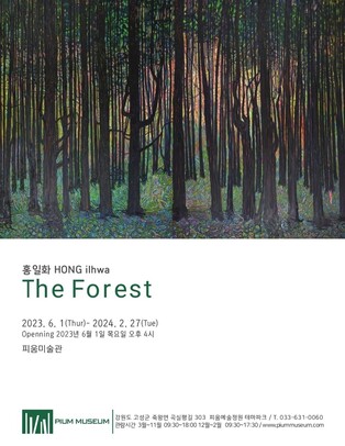 모든 존재의 '존엄한 가치' 조명…홍일화 작가 강원서 개인전