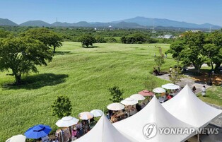제주 와흘리 봄 메밀문화제 내달 2일 개막