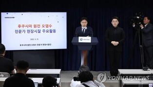 (LEAD) Fukushima inspection team says additional analysis needed for conclusion