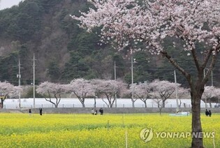 4월 강원 관광소비 6% 증가…산불 등으로 방문객은 4% 감소