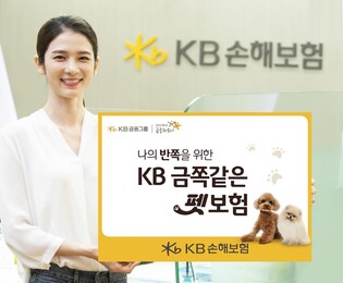 KB손보, 펫보험 신상품 출시…치료비 보장비율 90%까지