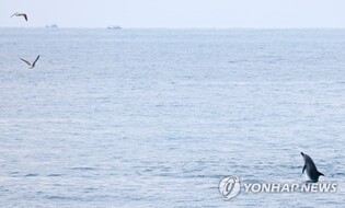 "생태법인 도입 국제사회에 공론화해야…제주가 앞장"