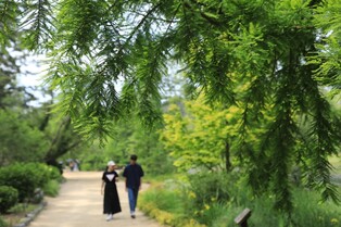 [픽! 태안] 초여름 수목원의 싱그러운 정취