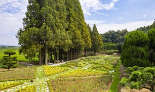 역사·문화·체험 여행 인기…익산시 관광산업 '기지개'
