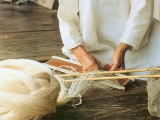 명맥 끊길 위기 처한 '나주의 샛골나이', 긴급 보호 대상 된다