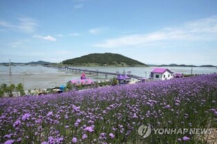 꽃·노래·동물 한마당…더딘 비구름에 전국 축제장도 '활짝'