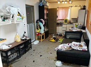 배설물·사체 나뒹군 펫숍…반려동물들 방치한 3명 검거