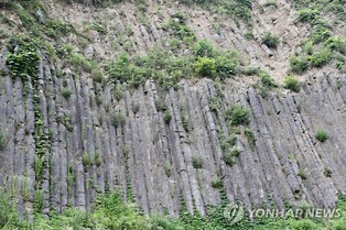 신생대 화산 활동 흔적…포항·경주 '주상절리 벨트' 눈길