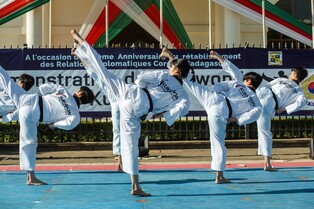 [게시판] 한-마다가스카르 재수교 30주년 태권도 대회