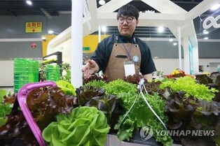 Number of households moving to rural areas falls over 10 pct in 2022: data