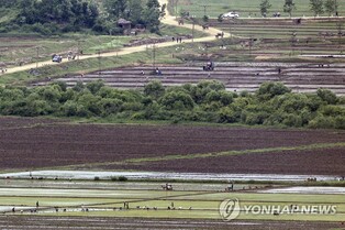 N. Korea's food prices rise, suggesting supply shortages: 38 North