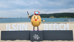 울산 동구 관광캐릭터 '도리'가 해수욕장 관광객 반긴다
