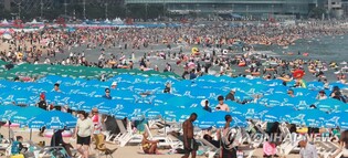 엔데믹 첫 여름이다…부산 7개 공설 해수욕장 '활짝'