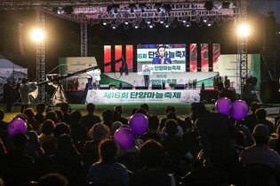 단양마늘축제 21일 개막…"올해는 품질 좋아요"