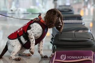 No. of drug offenders soars to record-high 18,395 last year