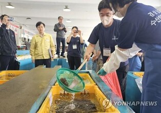 (LEAD) S. Korea to launch intense inspection into seafood imports on Fukushima woes