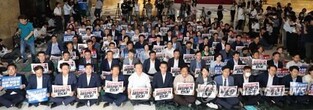 (3rd LD) DP makes all-out efforts to protest Japan's Fukushima water release