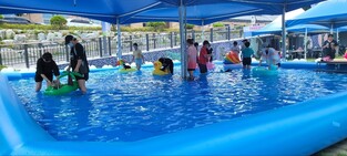 "반려동물도 시원하게" 대전반려동물공원에 무료 물놀이장