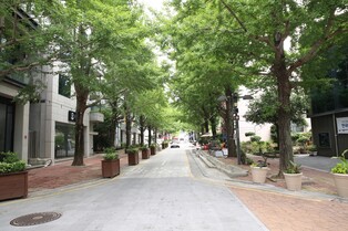 [도시재생 현장을가다] ⑧방치된 빈집을 마을호텔·청년주택으로