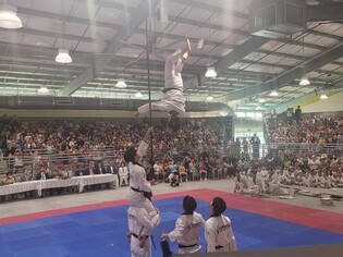 美휴스턴서 한미동맹 70주년 기념 국기원 시범단 공연