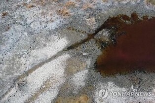 '고대문명' 이라크 습지대도 40년만 가뭄…뉴노멀된 이상기후