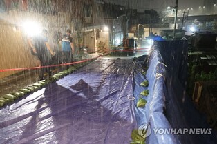 Heavy rain leaves 4,000 households in Seoul without electricity