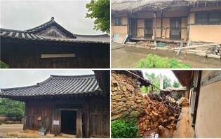 장맛비로 나무 넘어지고 담장 붕괴…국가유산 피해 잇달아